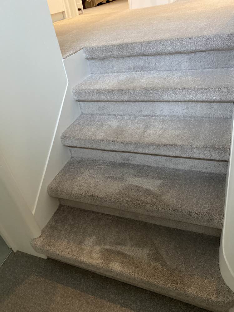 Particulier vasttapijt tapijtreiniging traploper Brussel